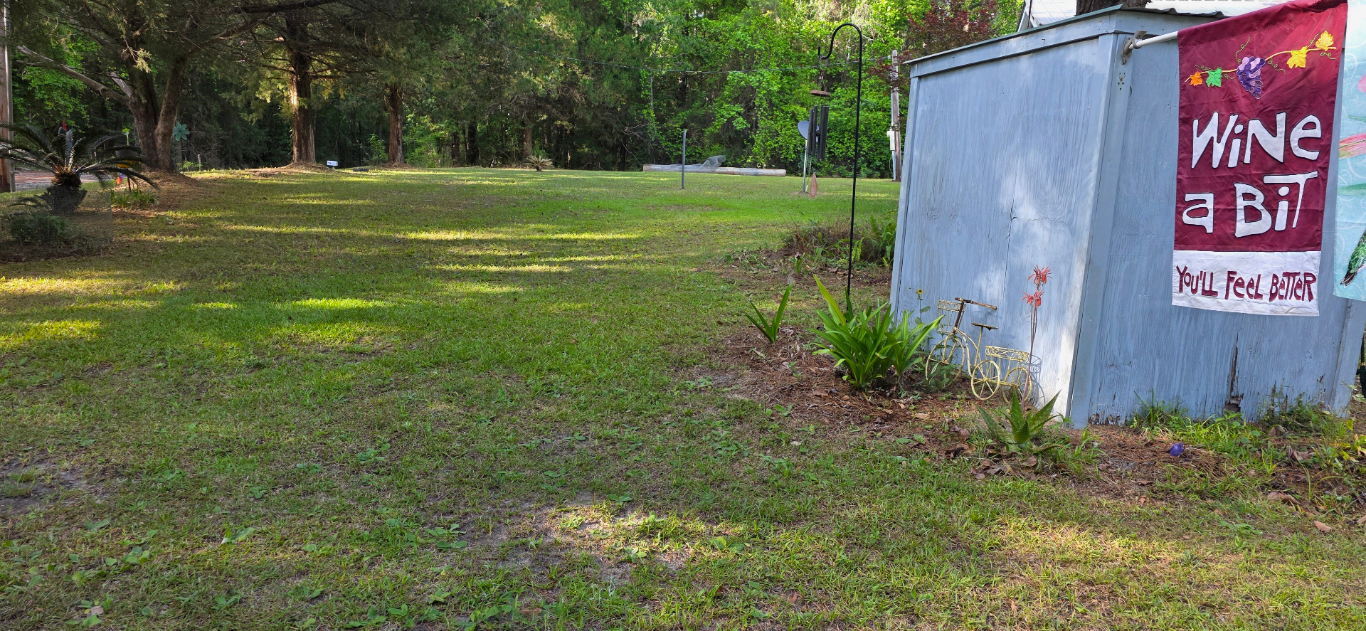 Crisp, freshly mowed green lawn with shade trees after Lady Edge service